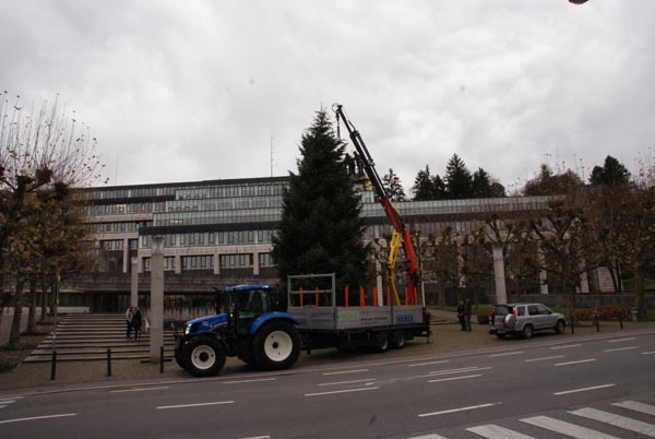 Baumbegardigung_beim_Landhaus_Bregenz_2016-11-21_DSC02212.jpg